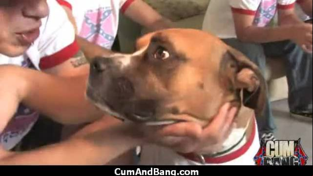 Black slut group attacked in her mouth 18
